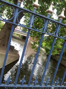 River shot by my house. 